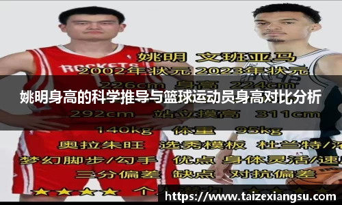姚明身高的科学推导与篮球运动员身高对比分析